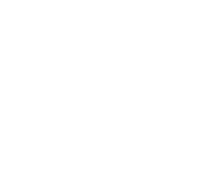 shape-16.png