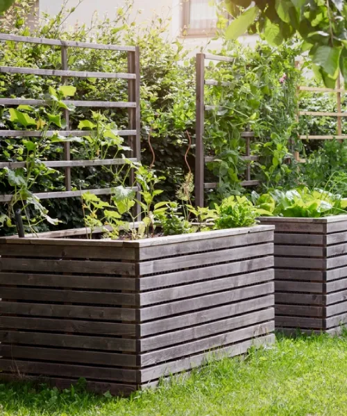 Newly planted garden beds designed for structure, colour and easy upkeep