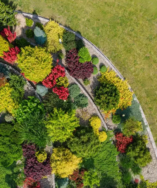 Well-maintained lawn and garden area showing professional garden maintenance results
