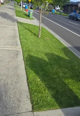 Full landscaping project with turf, garden beds, paving and outdoor finishes