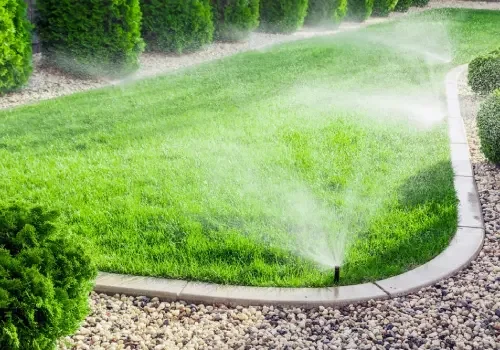 Irrigation and drainage system planning for healthier lawns and garden beds