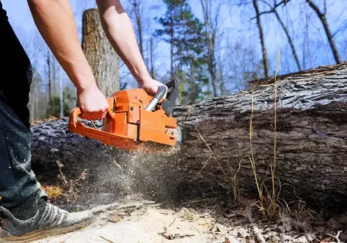 Tree removal service for unsafe, unwanted or unsuitable trees on residential properties